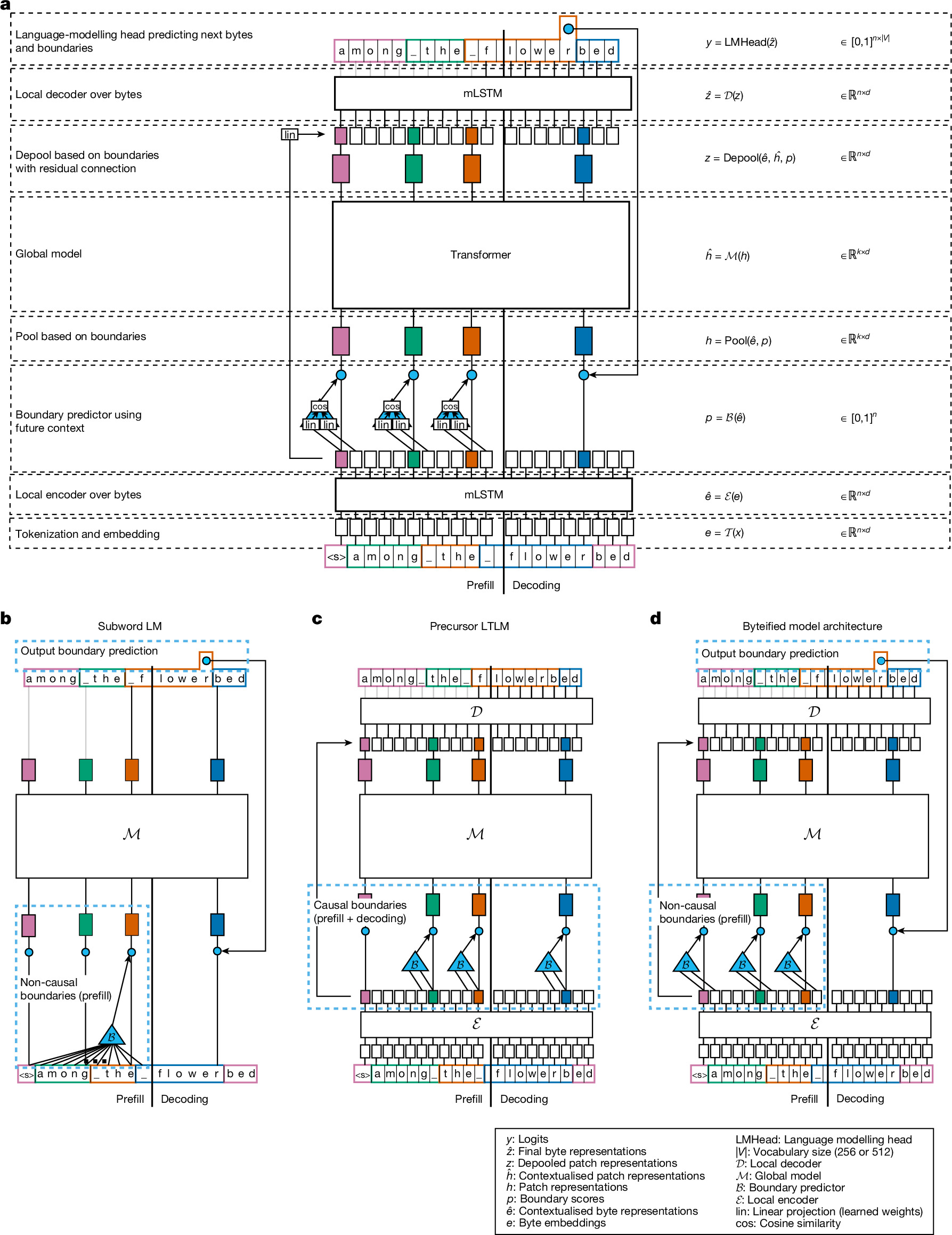 Diagram from the byteification study showing how a language model predicts byte patches and boundary positions