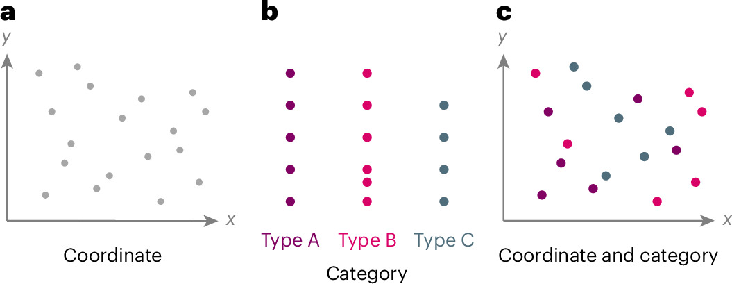 Diagram distinguishing coordinate information from category information in a material structure